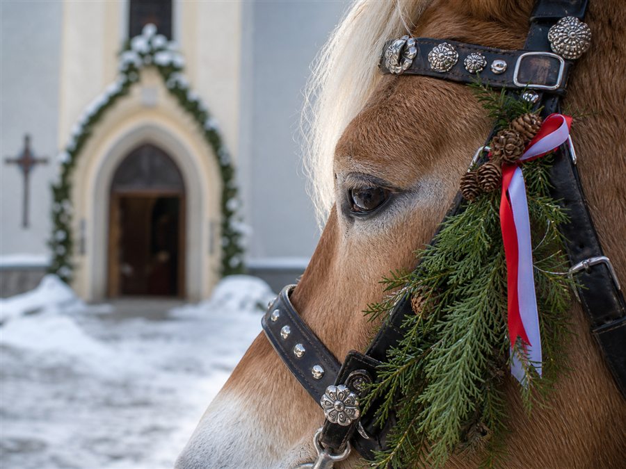Decorated horse harness in front of a church for a Stefaniritt blessing
